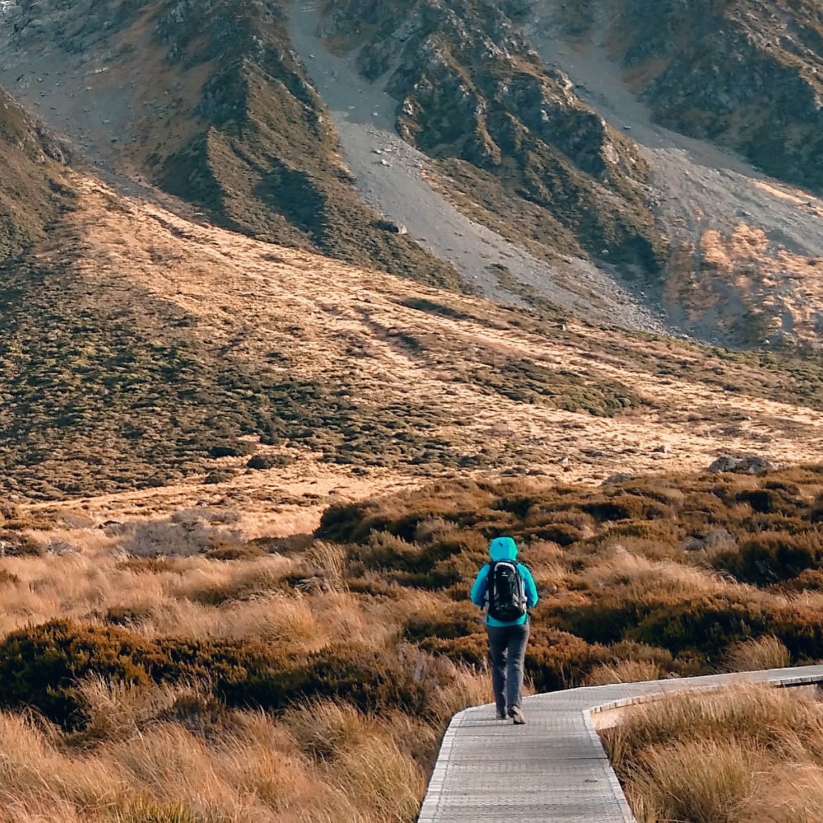 adventure travel nz